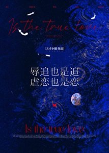 辱追也是追,虐恋也是恋